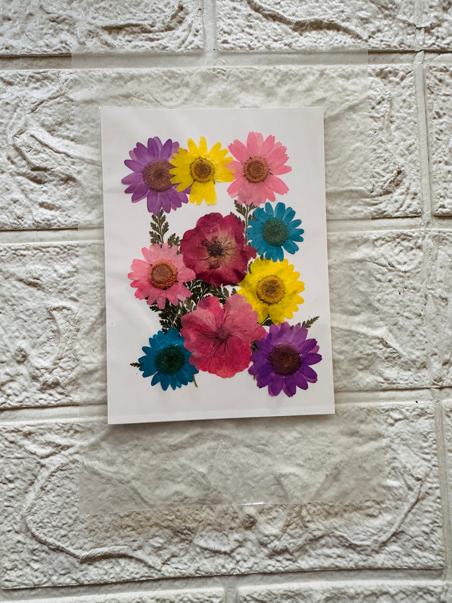 12 in 1 Pressed Flowers