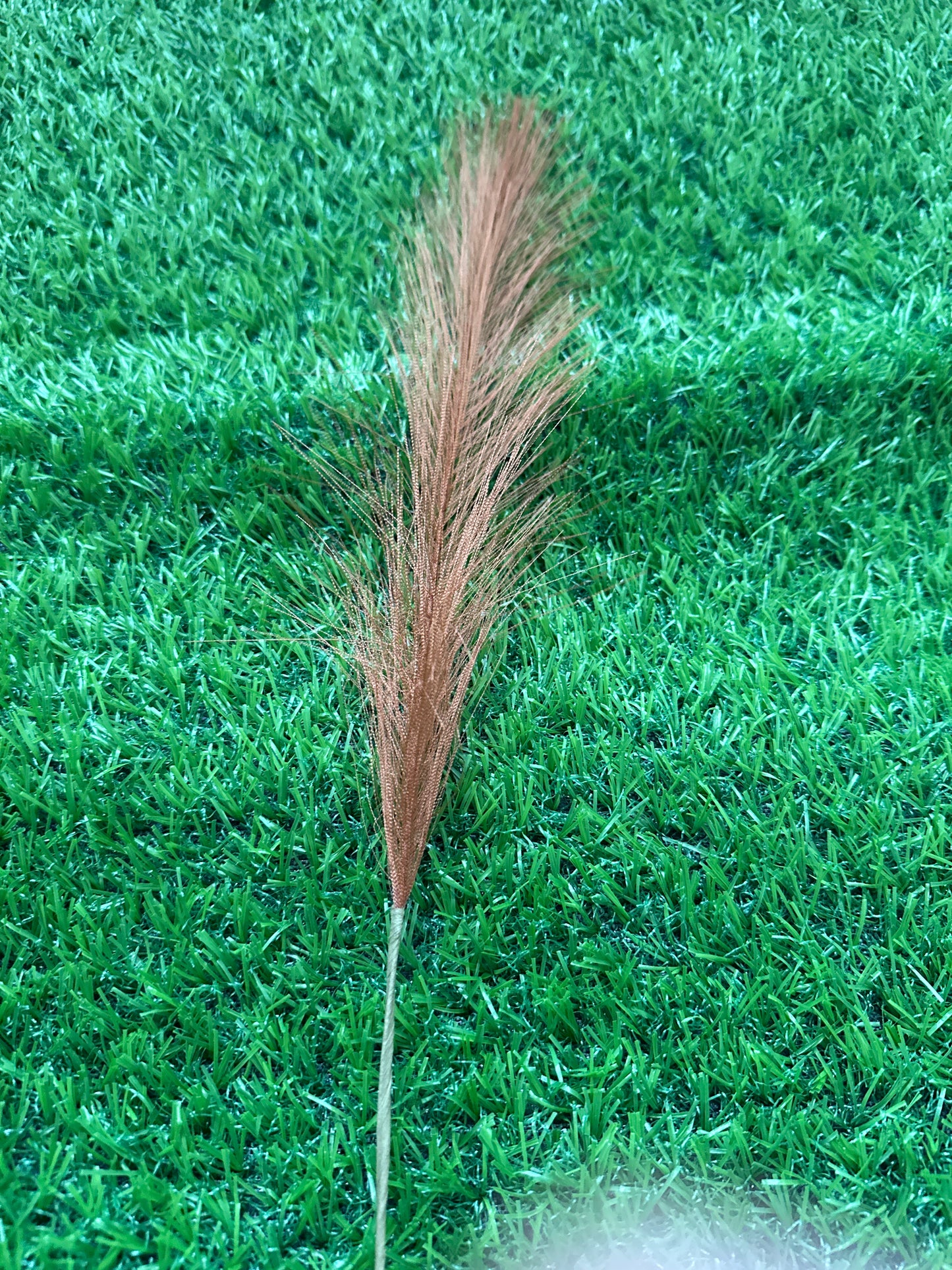 Dark Brown Pampass