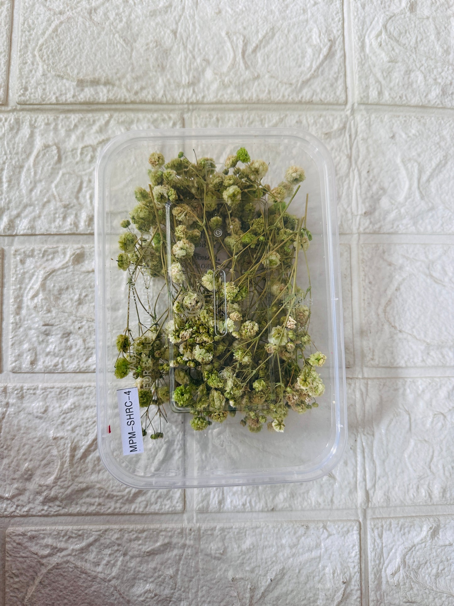 Baby breath flower box JR08