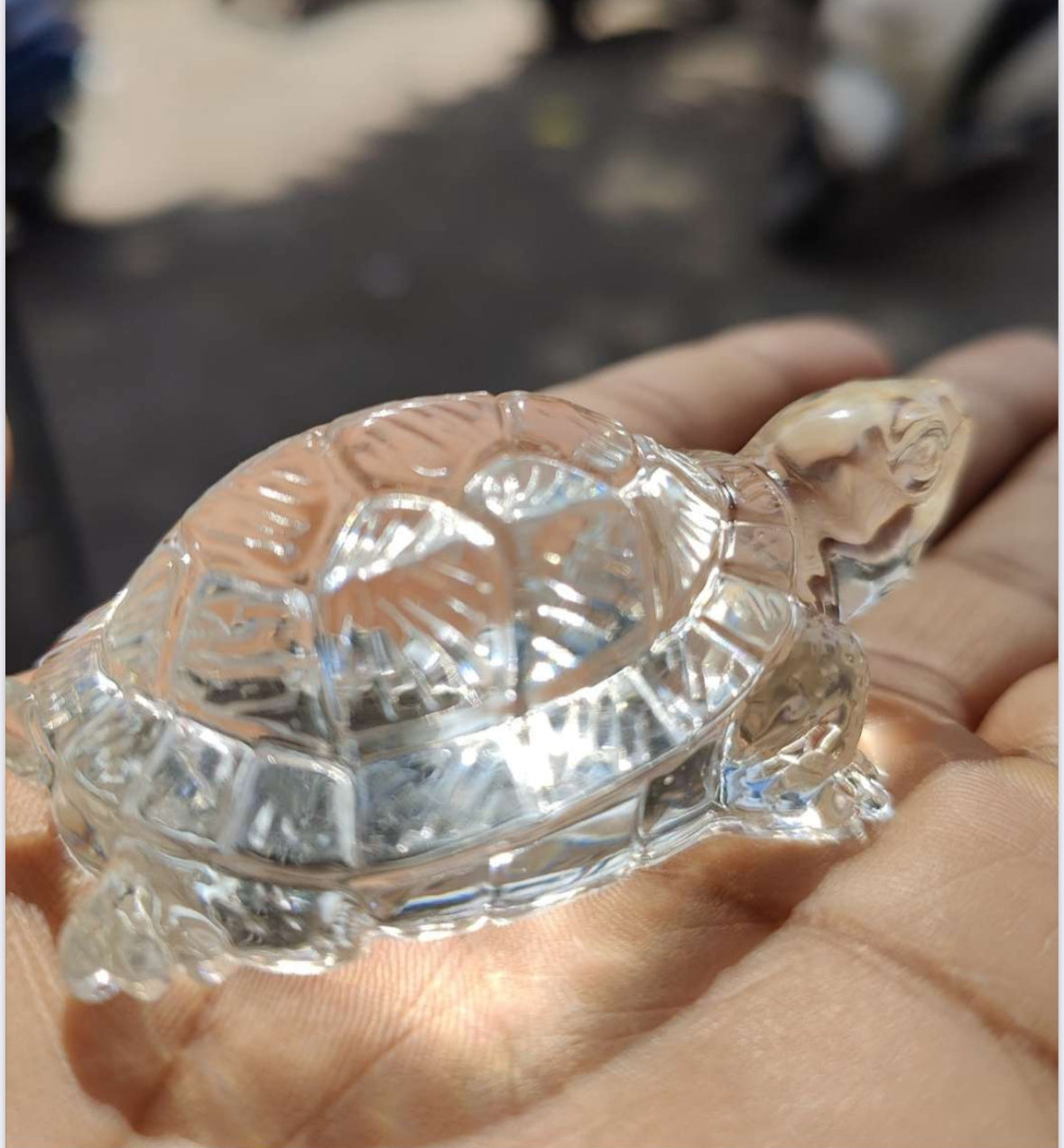 Small Turtle Mold