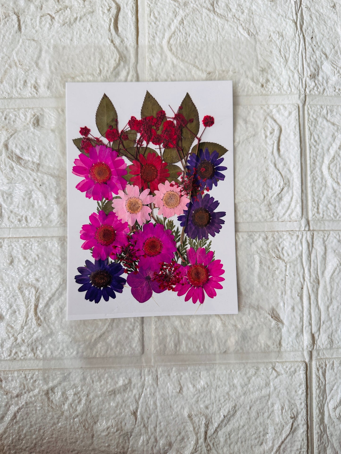 Pressed Dry Flowers JR002