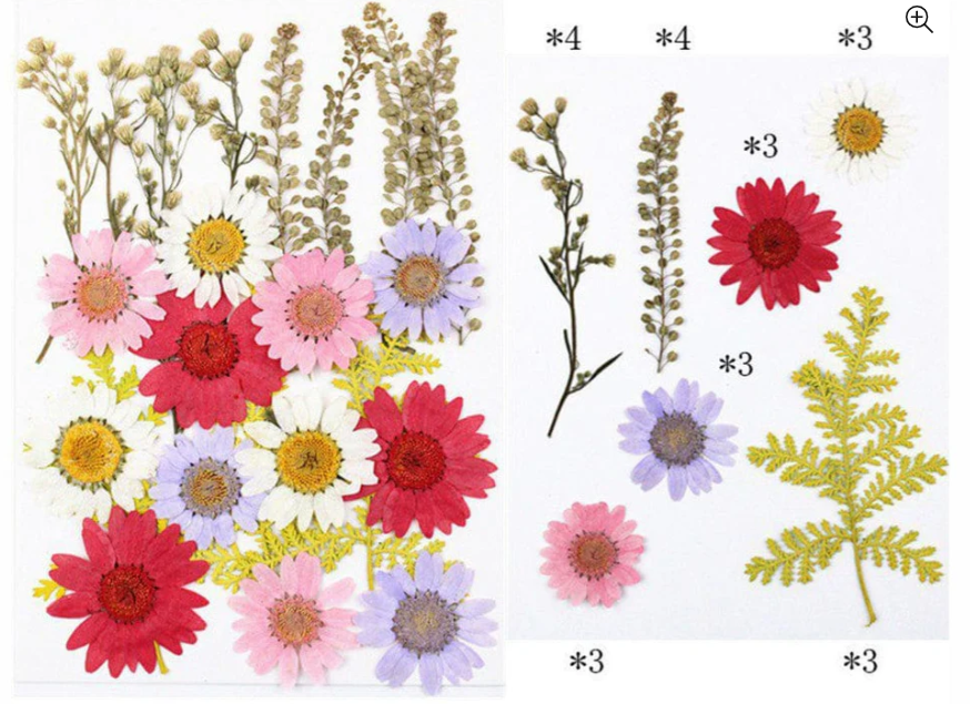 23 in 1 Pressed Flower