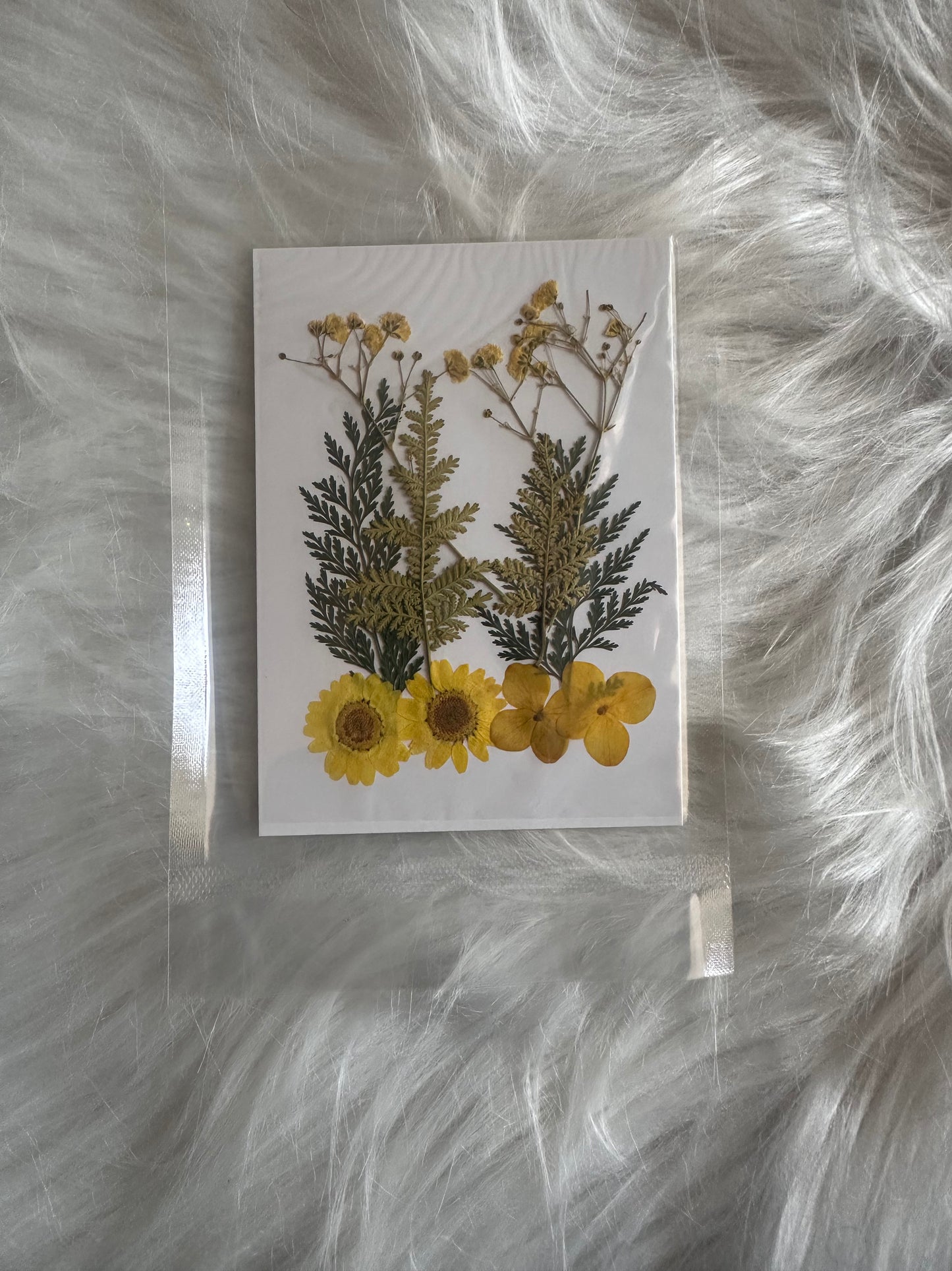 Pressed Flower 08