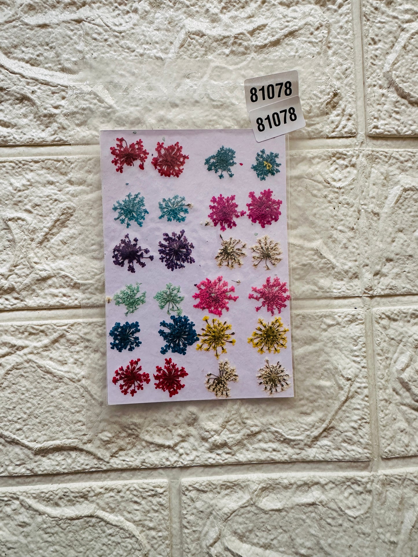 24 in 1 Multi Pressed Flower