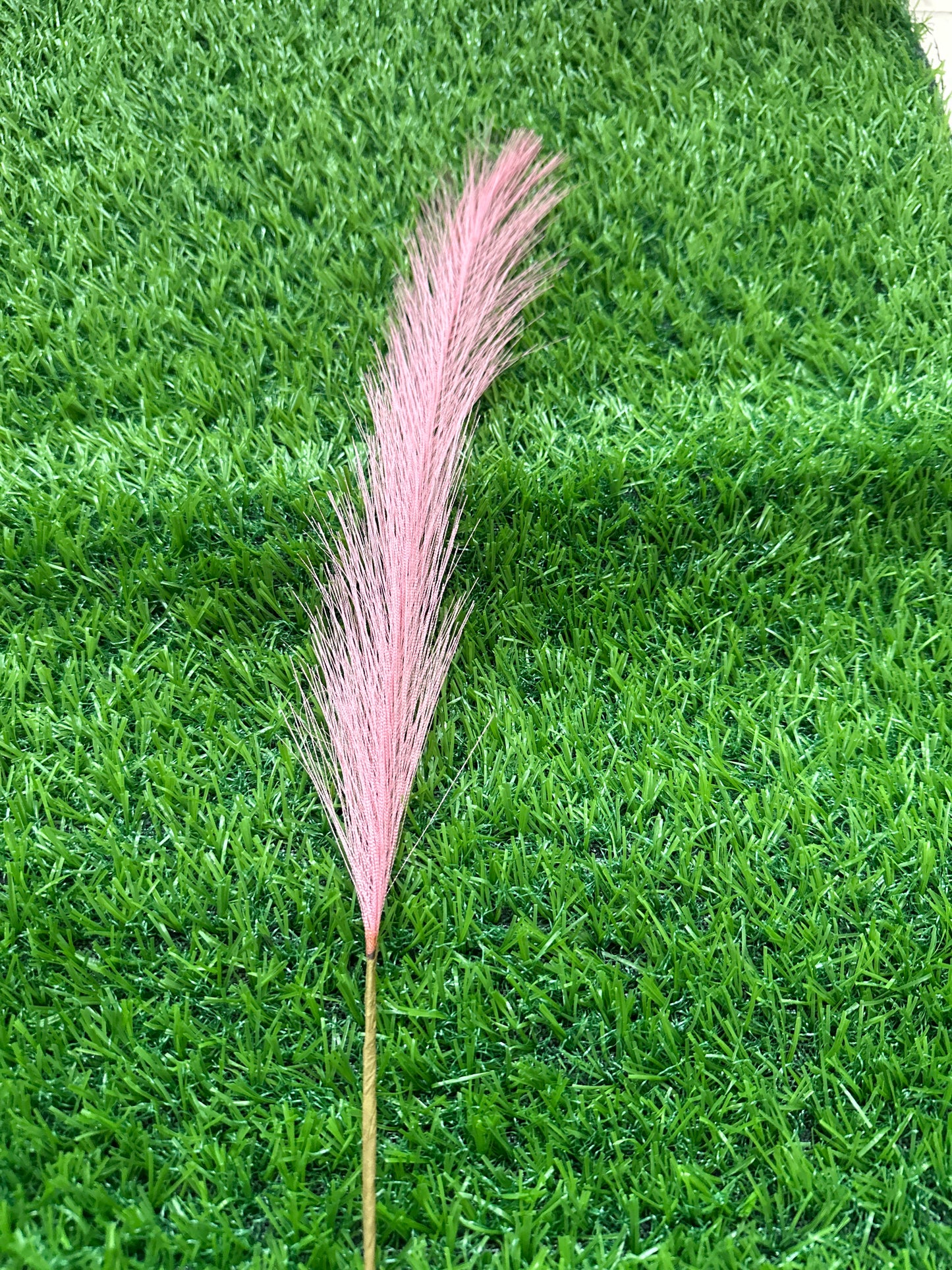 Pink Pampass