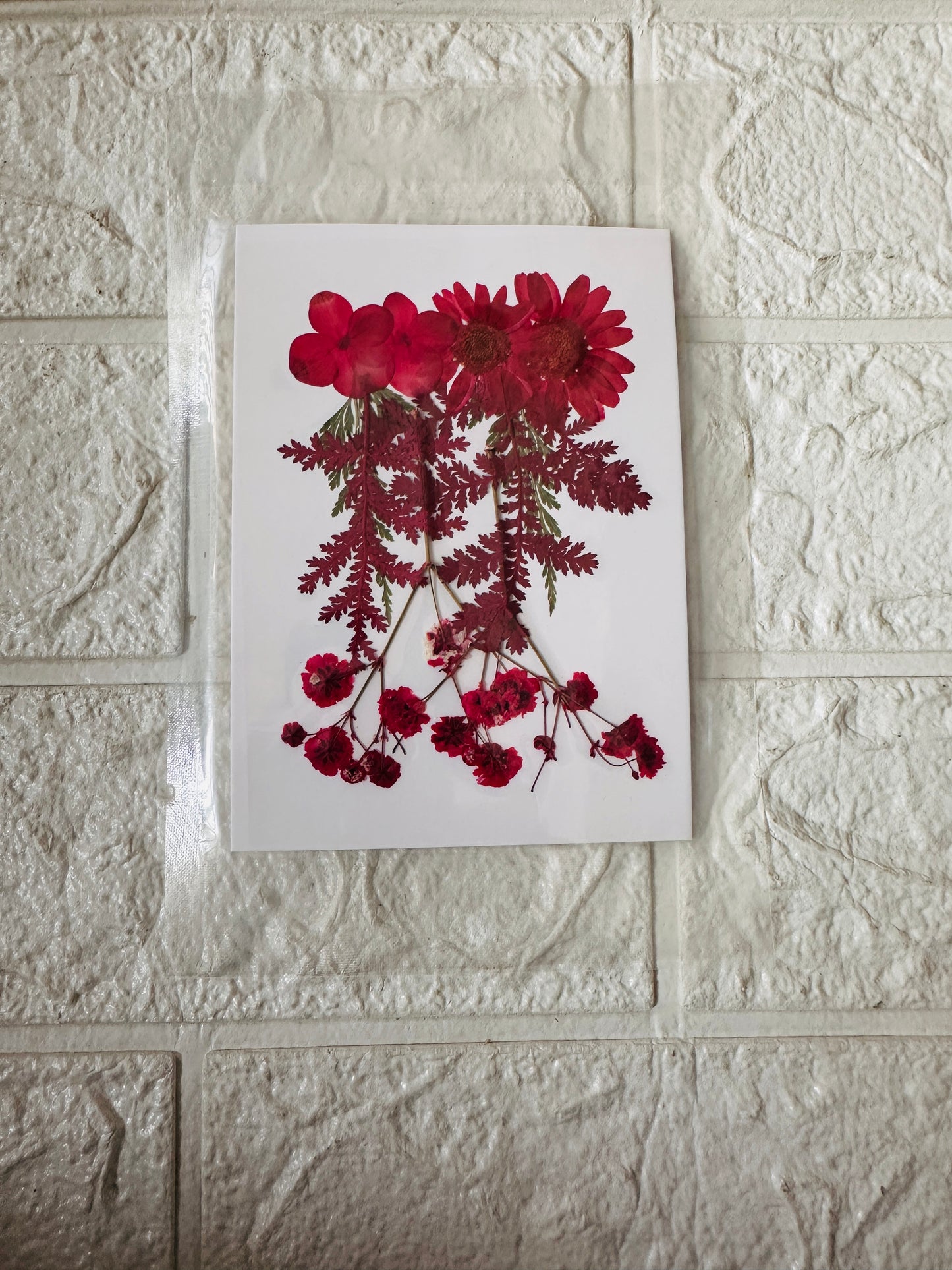 Dry Pressed Flower JR003