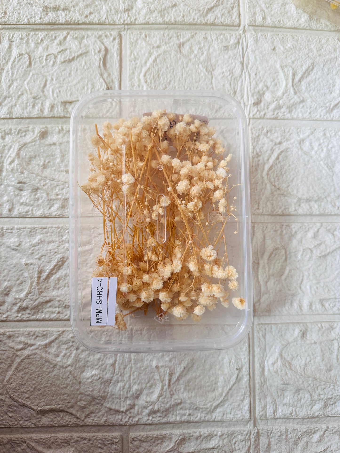 Baby breath flower box JR02