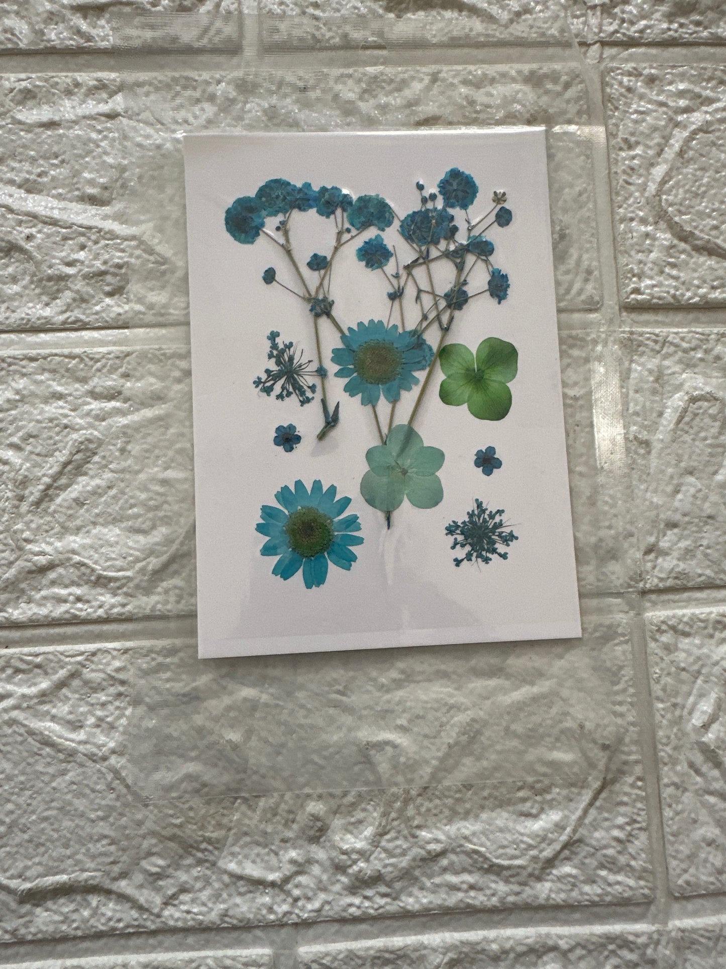 10 in 1 pressed flower