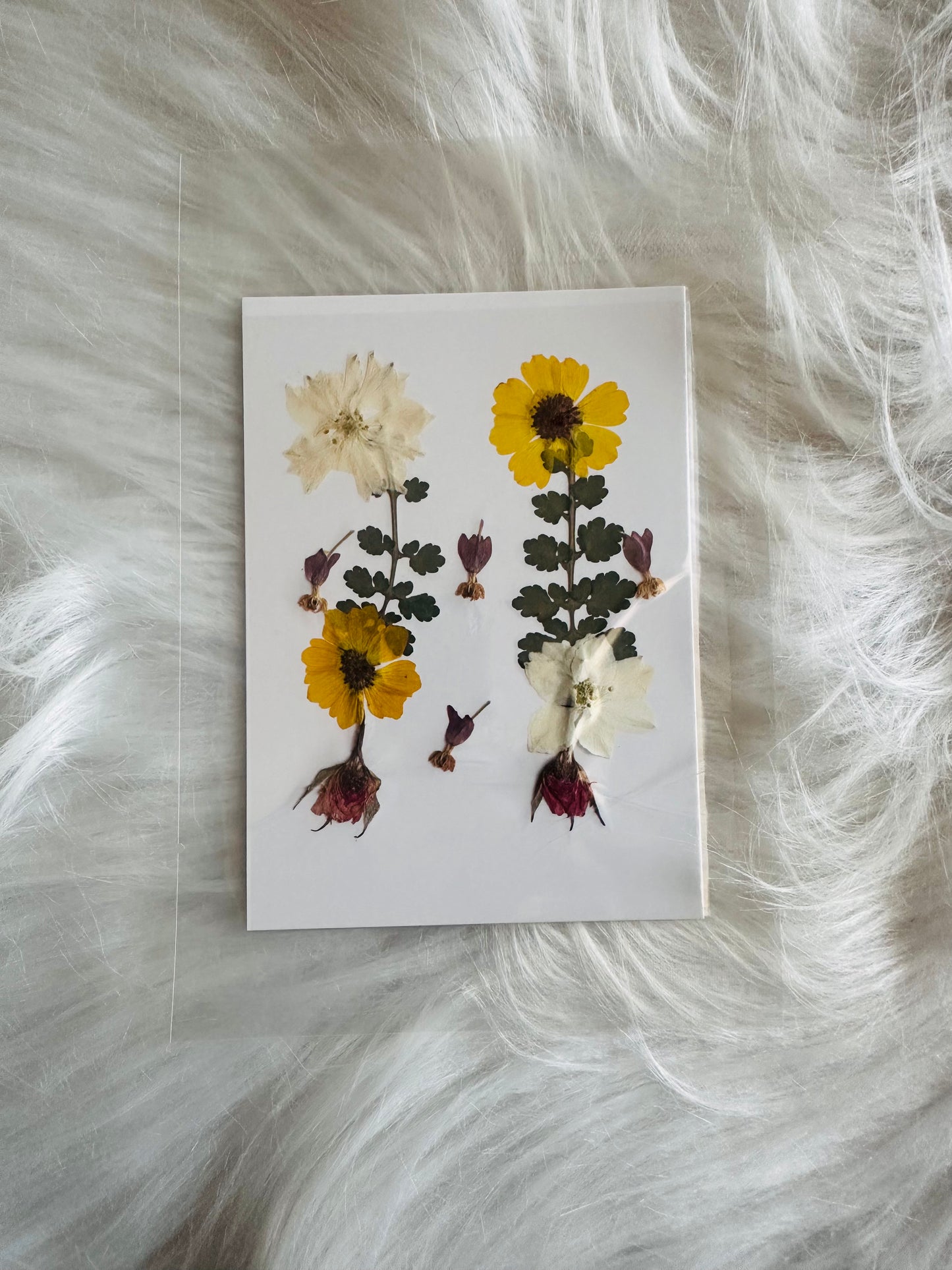 Pressed Flower 14
