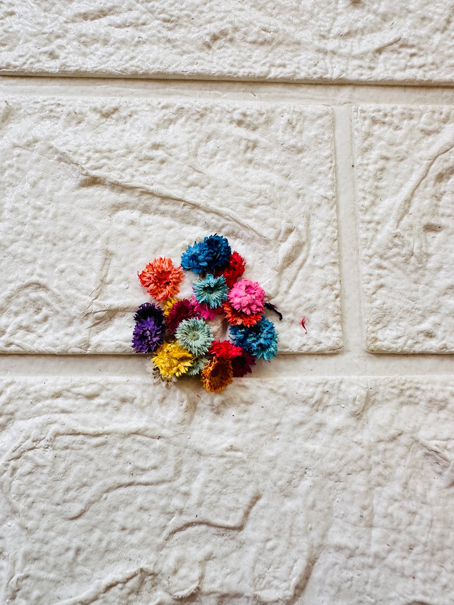 24 pc Pressed flower