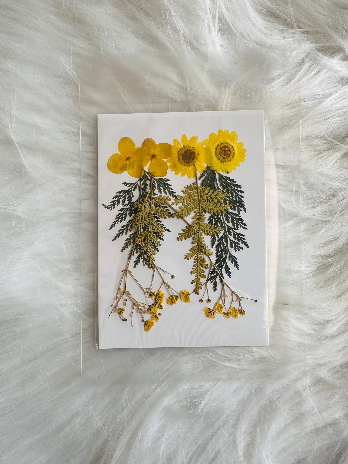 Pressed Flower 08