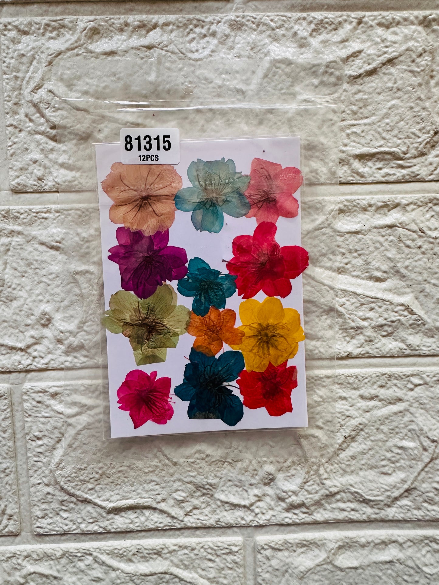 12 in 1 Pressed Flowers