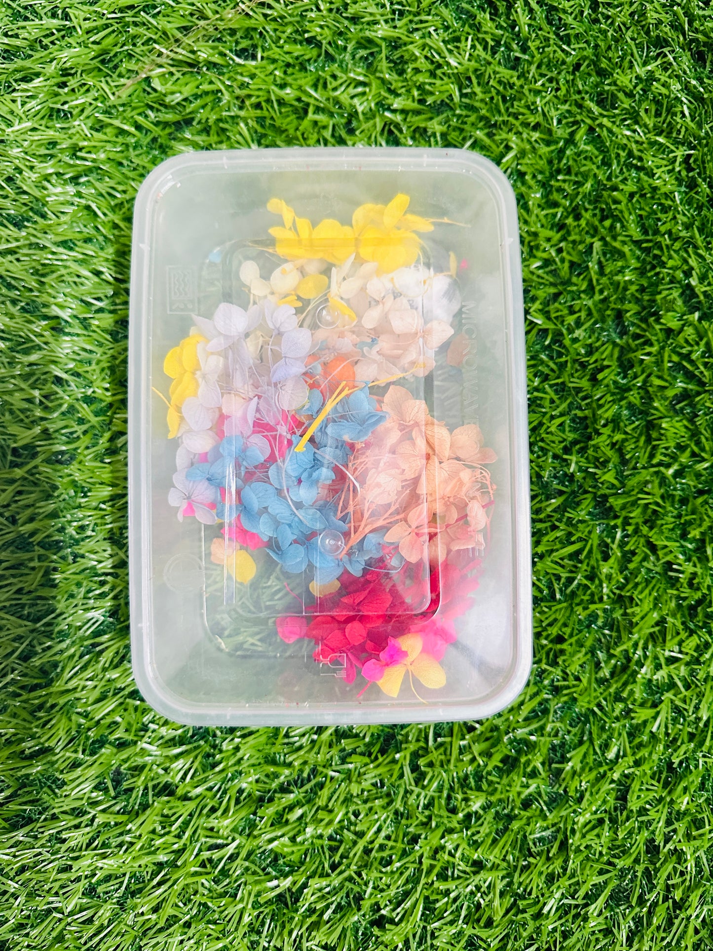 Hydrangea Flower Box - Multi