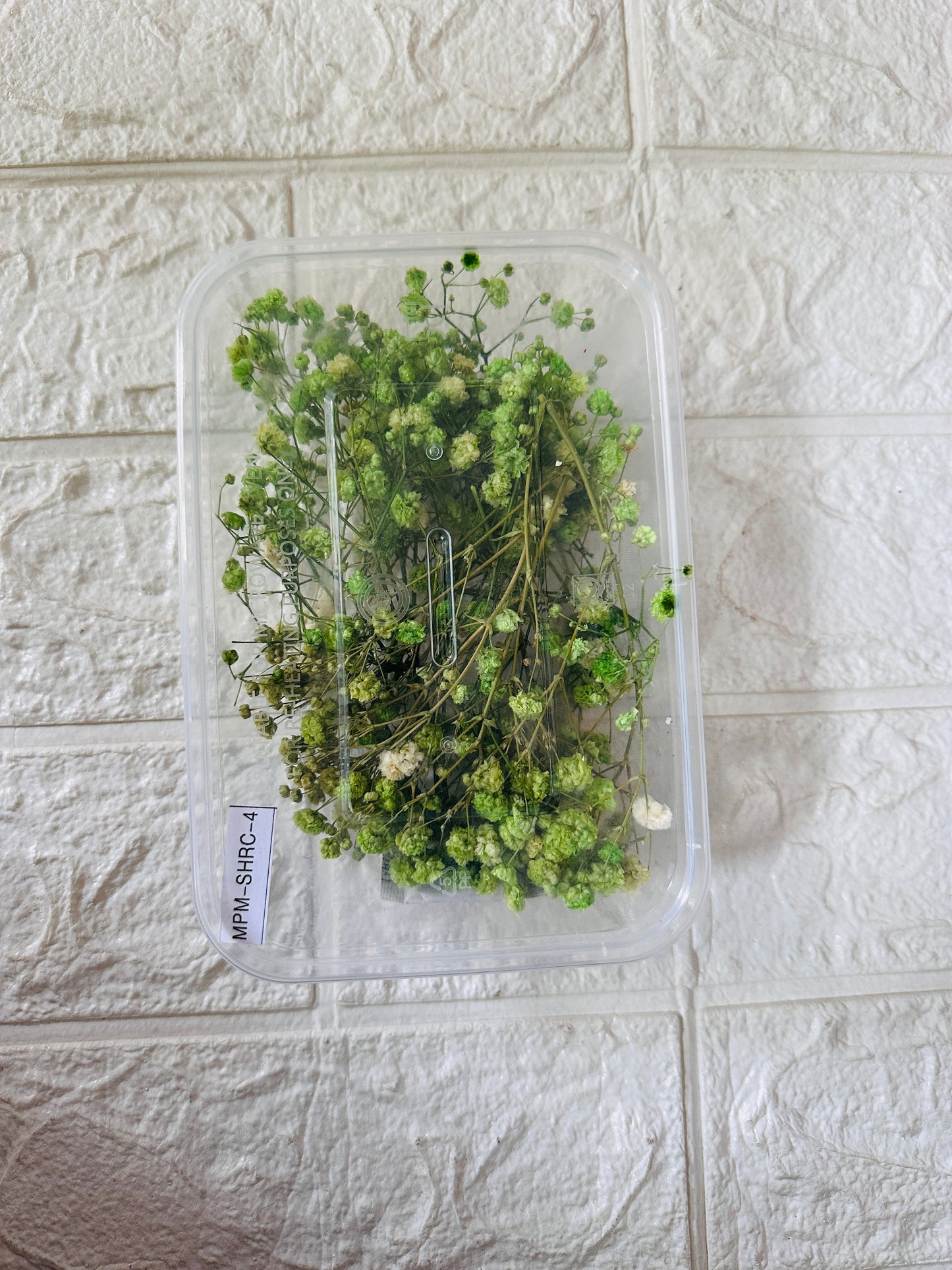 Baby breath flower box JR05