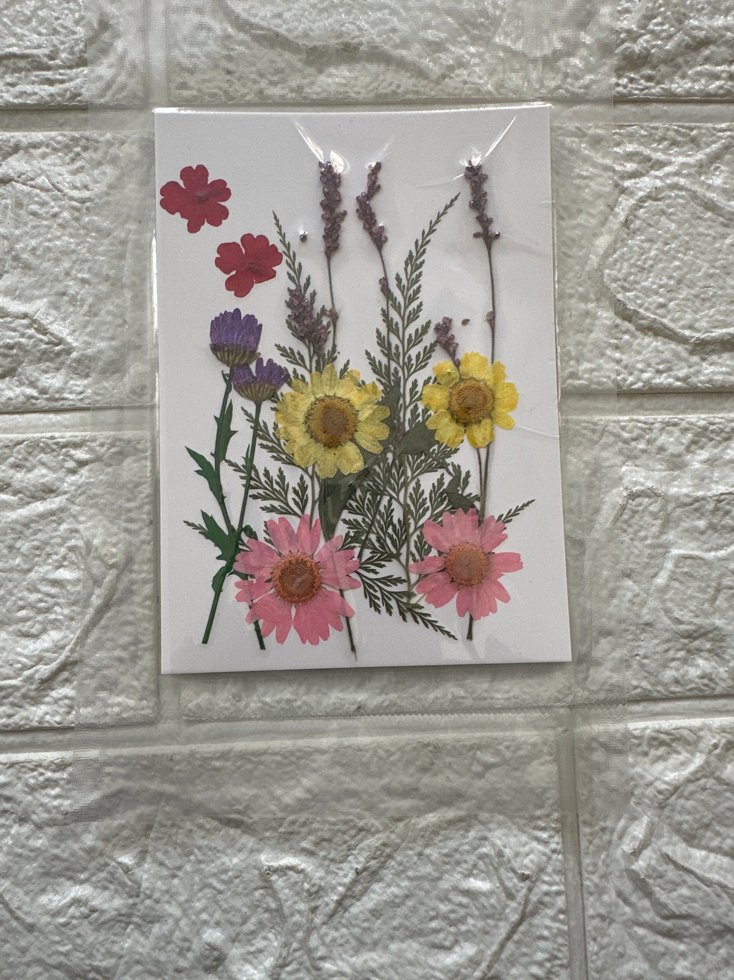 12 in 1 Pressed Flower JR03