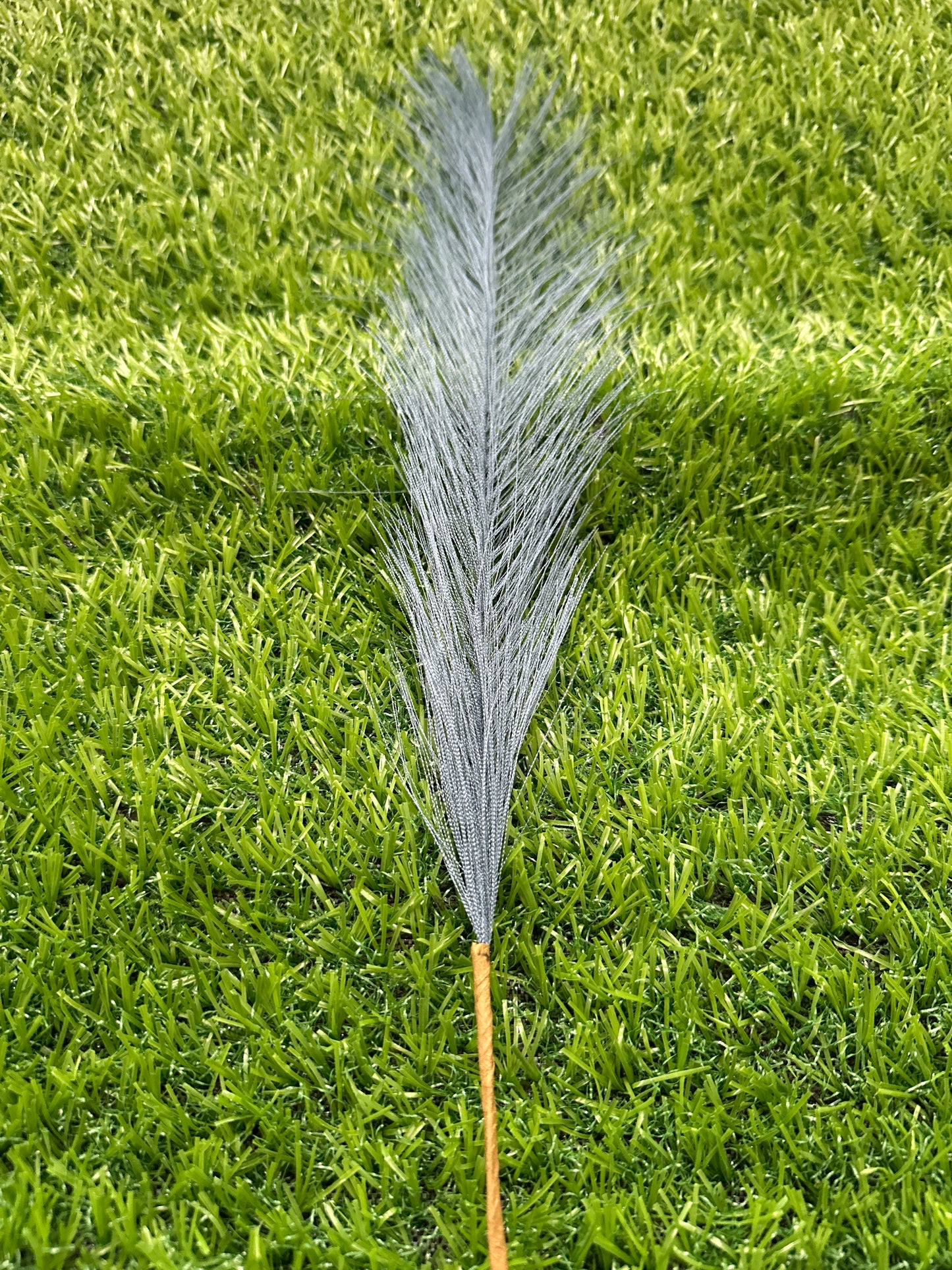 Blue Pampass