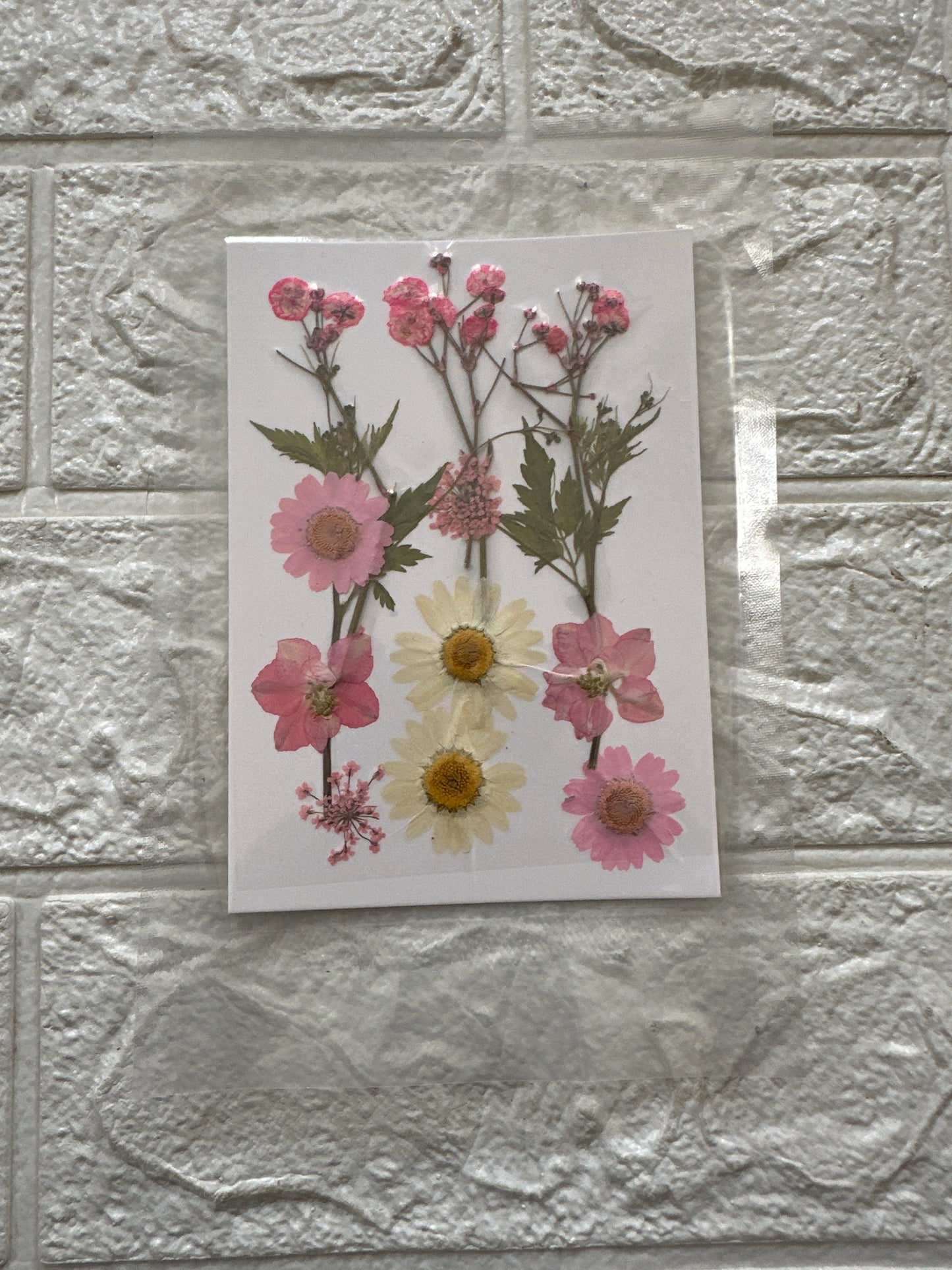 12 in 1 Pressed Flower Sheet