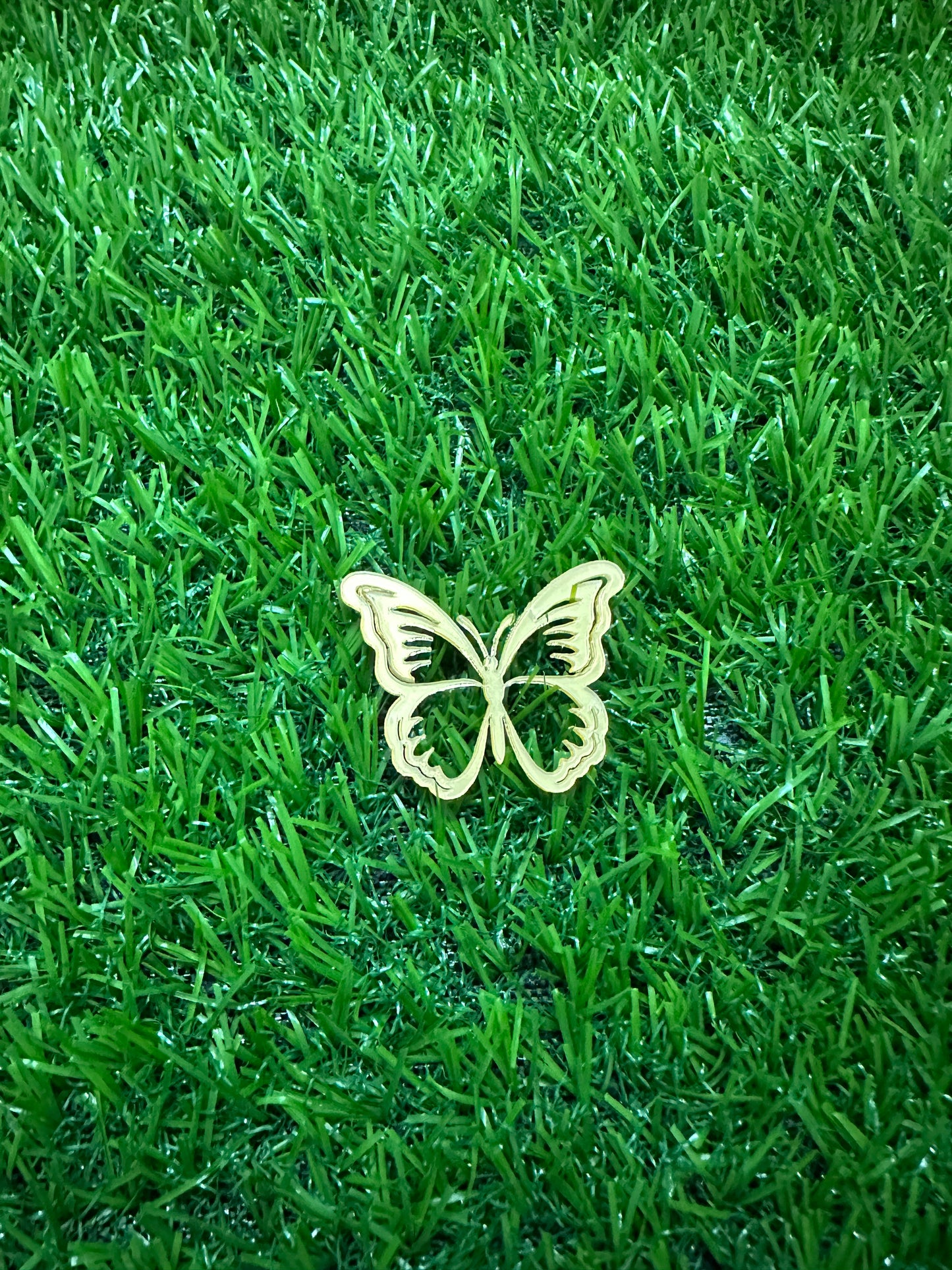 Butterfly Acrylic cutout