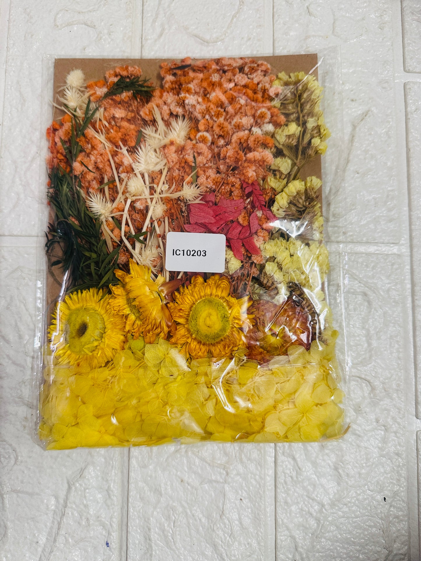 Pressed Flower Sheet - 203