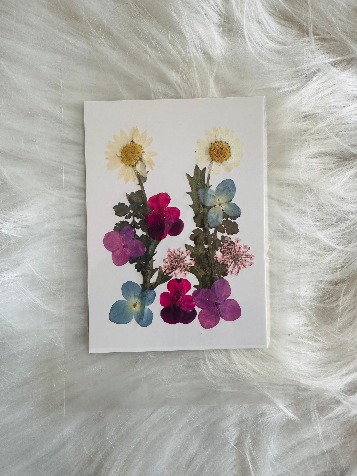 Pressed Flower 09