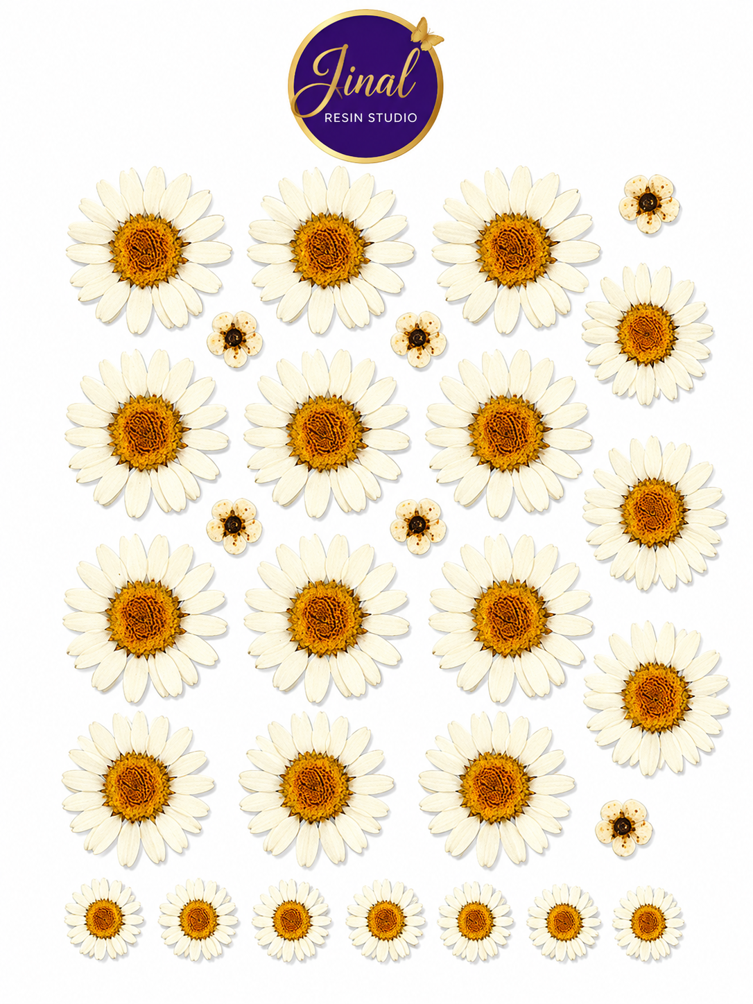 White Daisy UV DTF Stickers