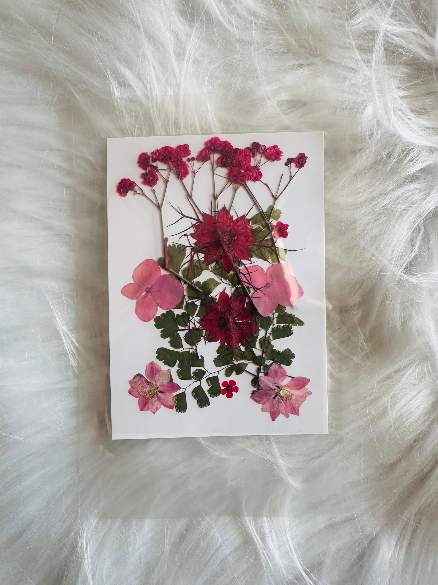 Pressed Flower 11