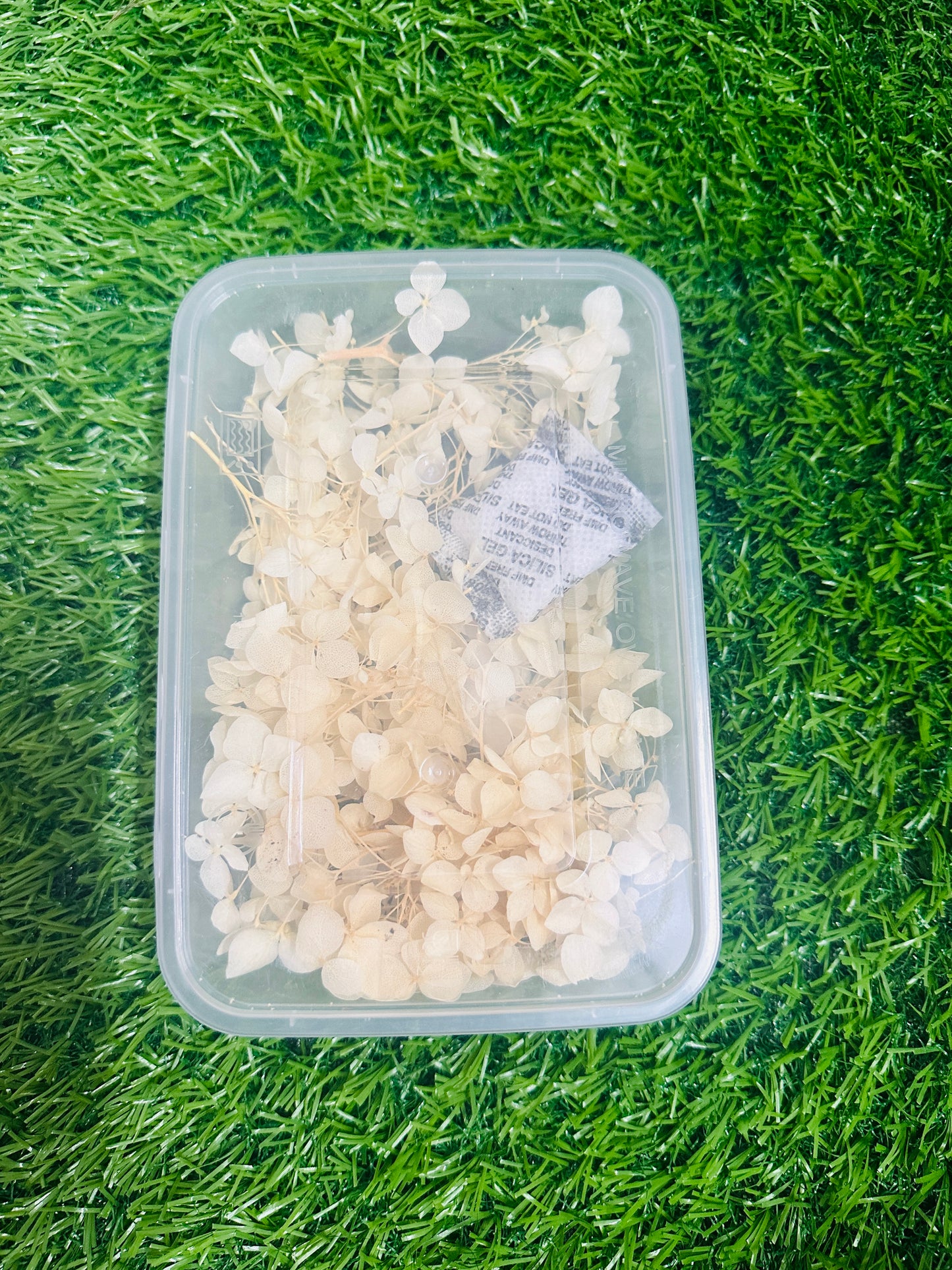 Hydrangea Dry Flower Box - Off White