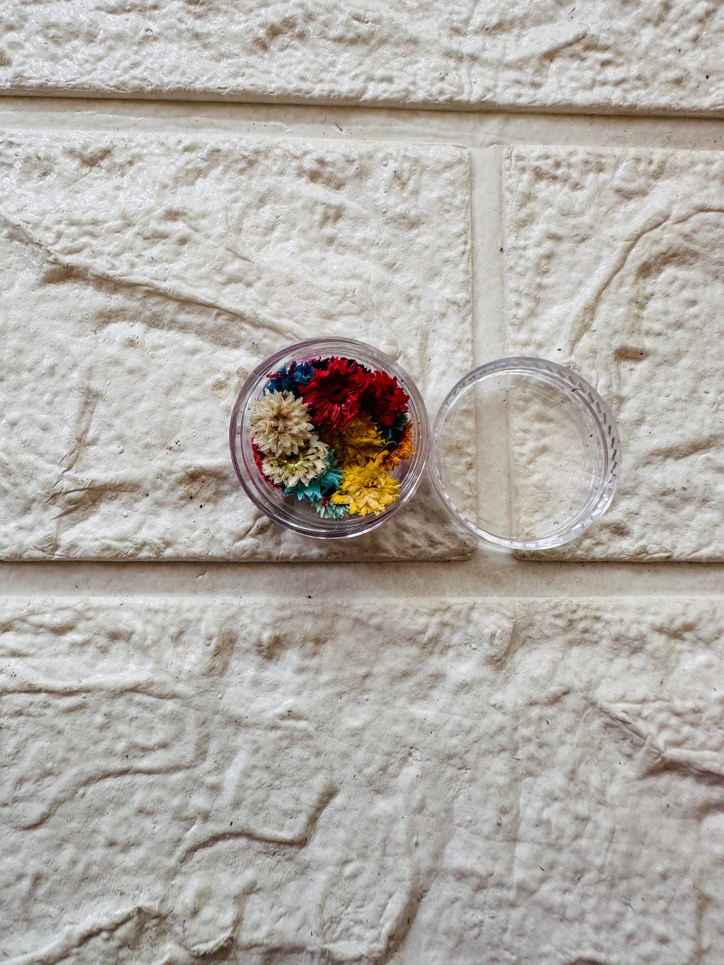 24 pc Pressed flower