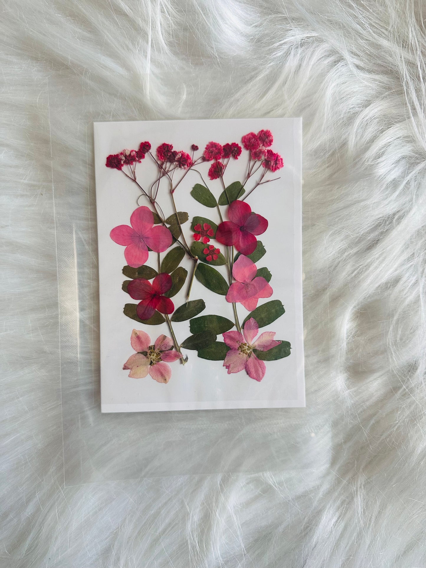 Pressed Flower 04
