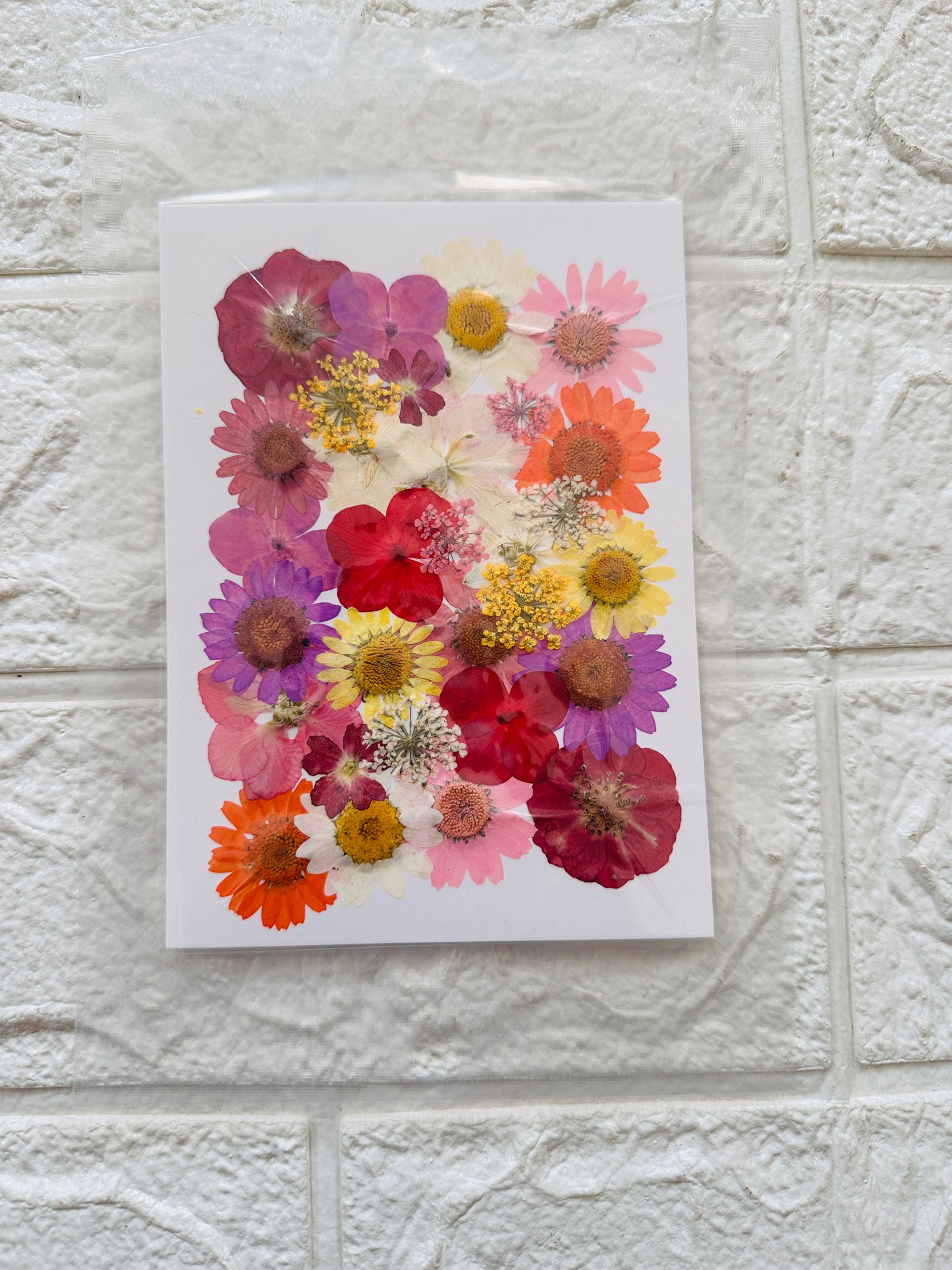 30 in 1 pressed flower JR02