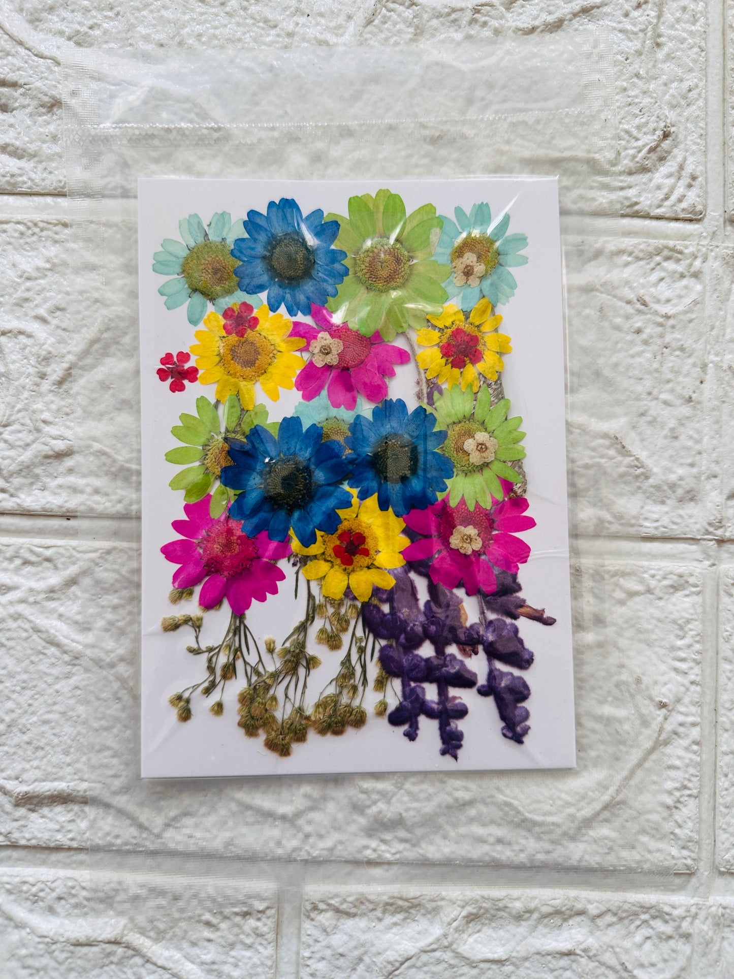 32 in 1 pressed flowers