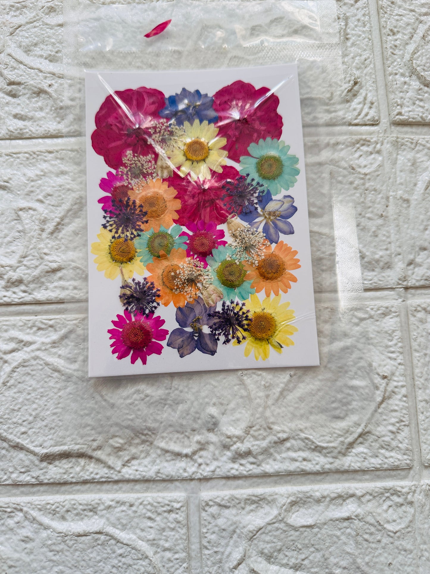 30 in 1 pressed flowers