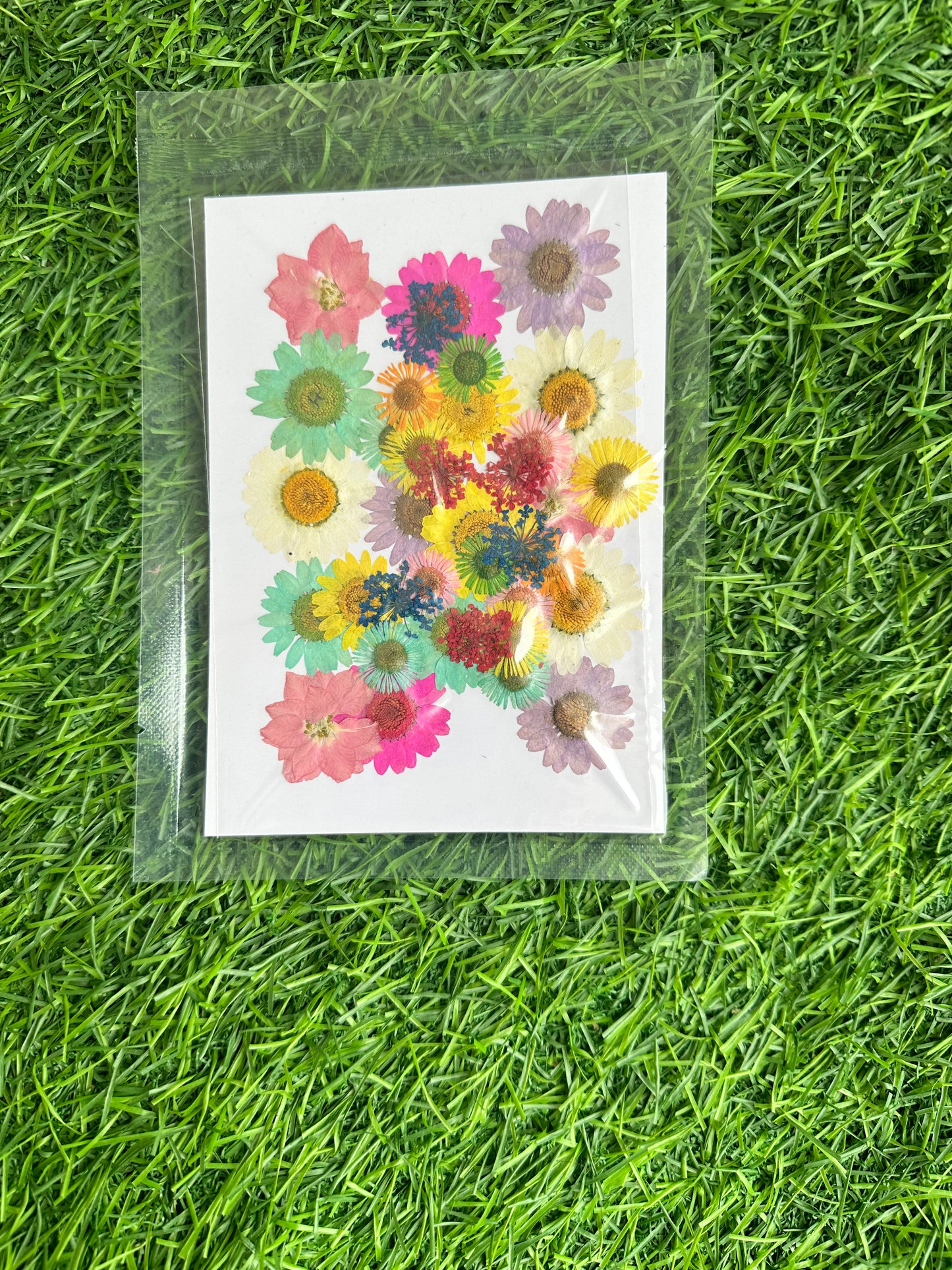 36 in 1 Pressed Flowers
