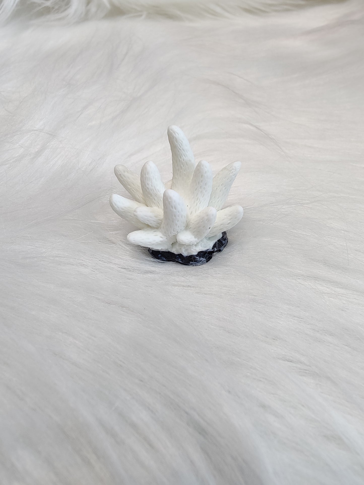 Underwater sea plant A miniature