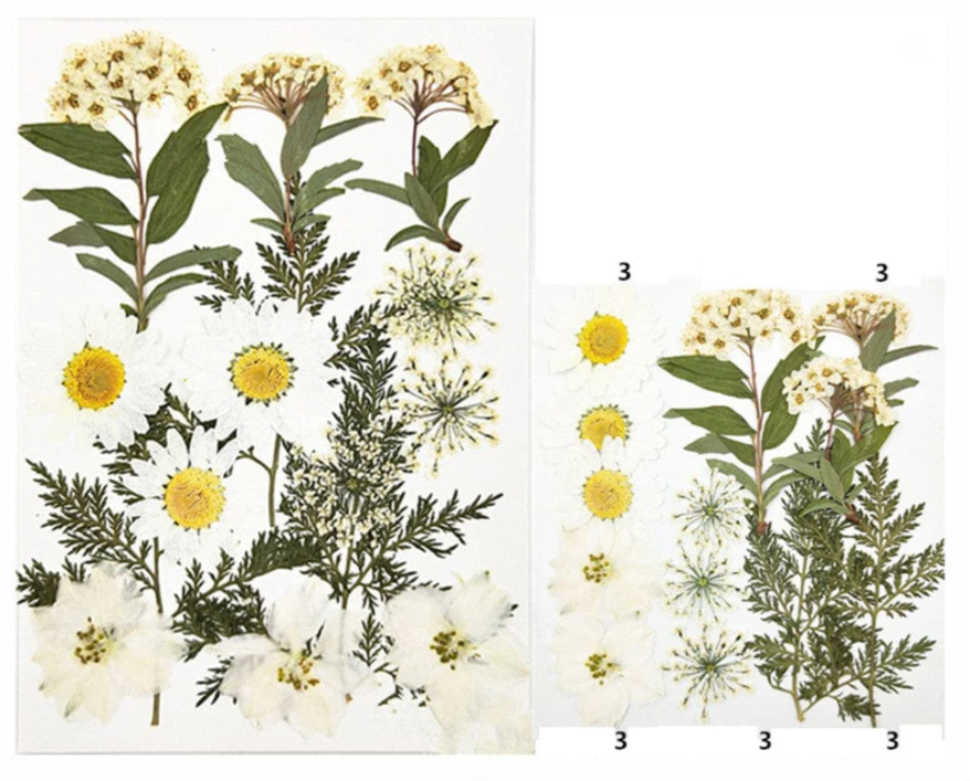 15 In 1 Pressed Flowers