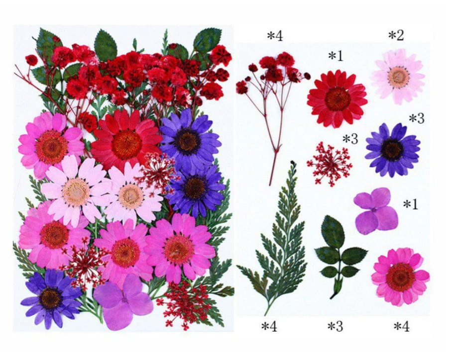 25 In 1 Pressed Flowers