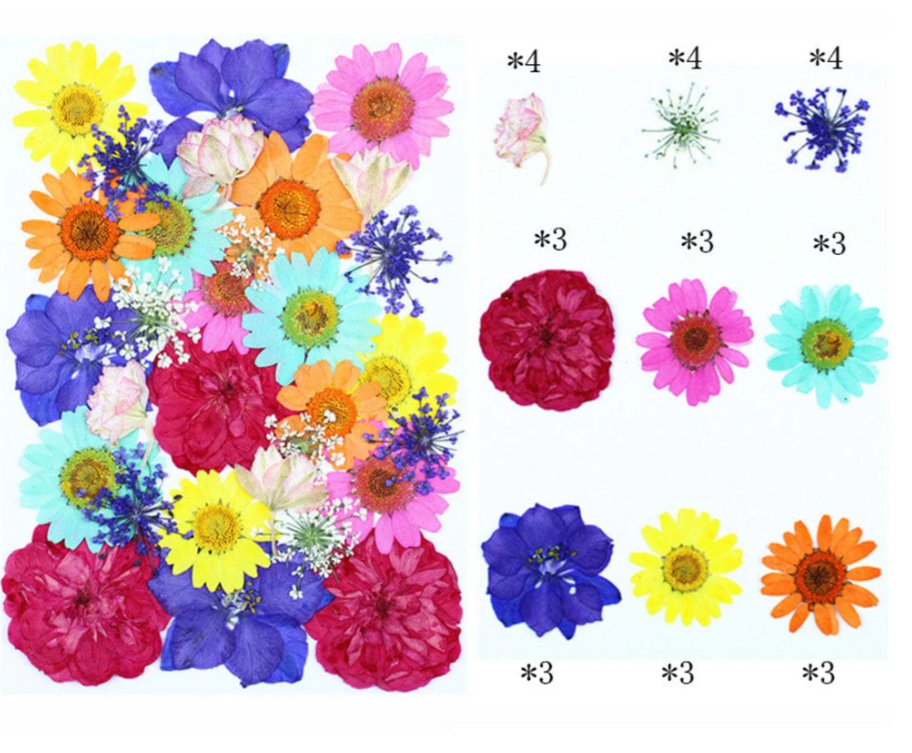 30 In 1 Pressed Flowers