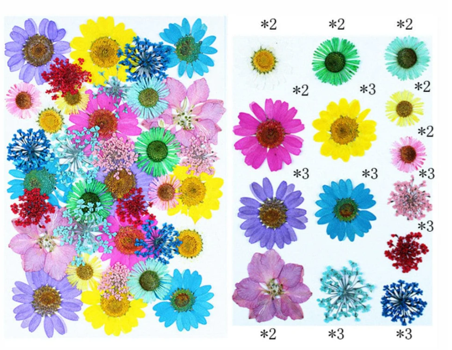 35 In 1 Pressed Flowers