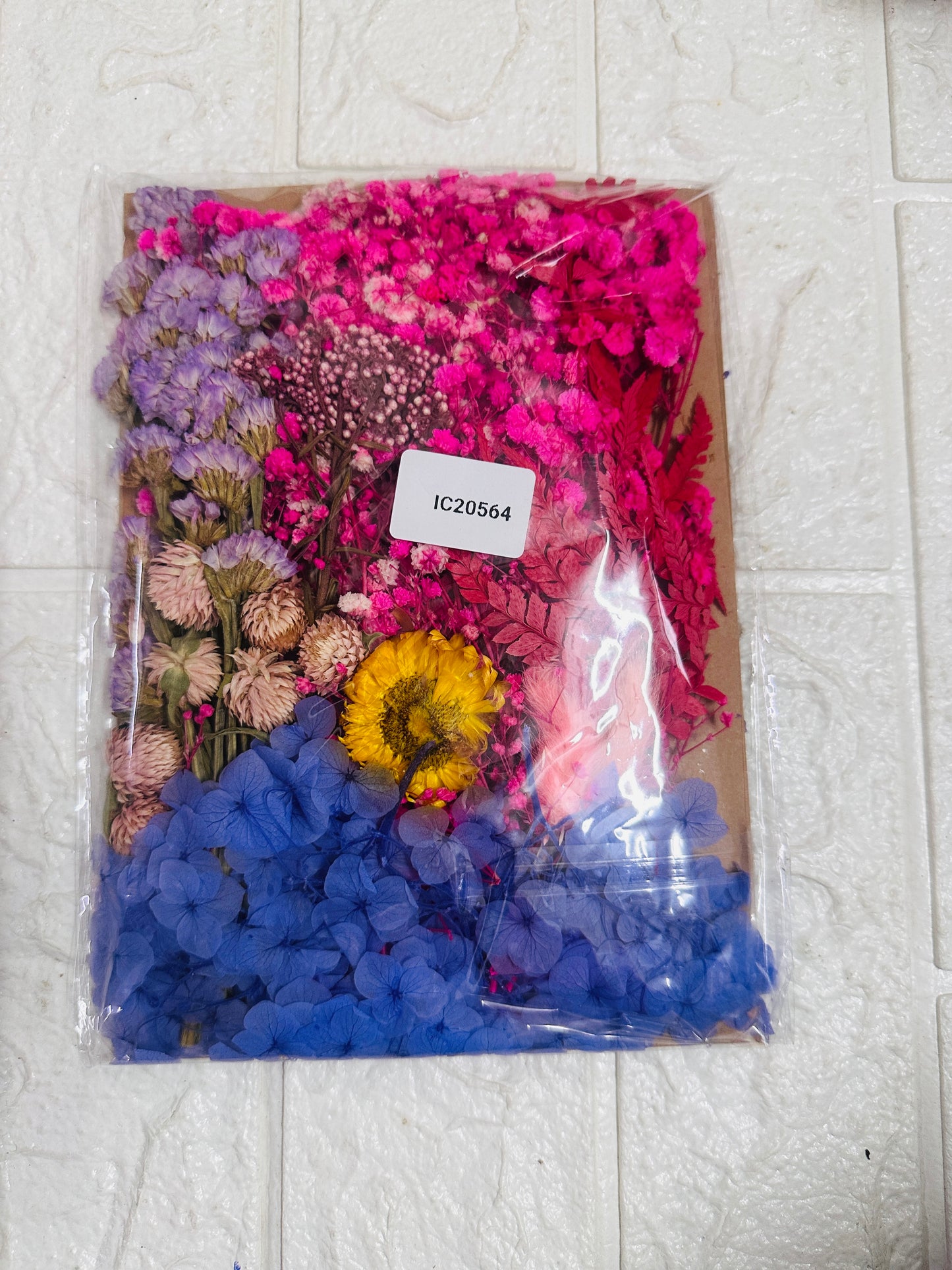 Pressed Flower Sheet-564