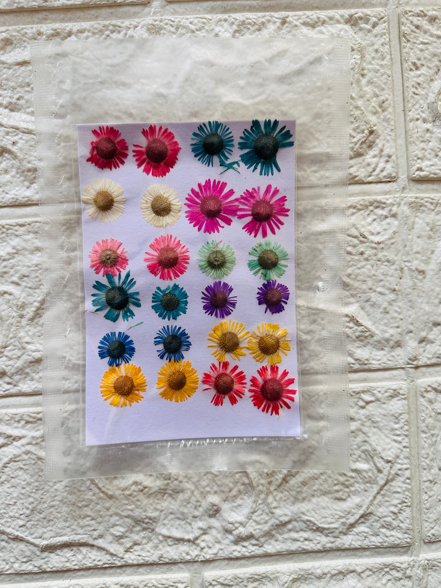 24 in 1 Multi Pressed Dry Flower JR02