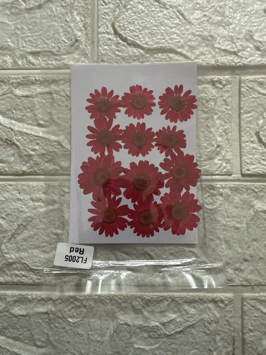 12 in 1 Red Pressed Flower