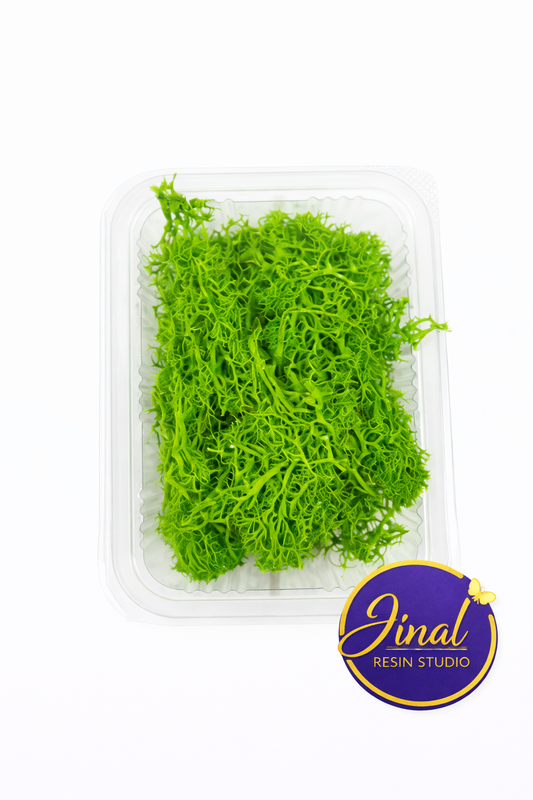 Grass Moss Box
