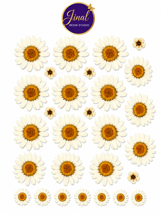 White Daisy UV DTF Stickers