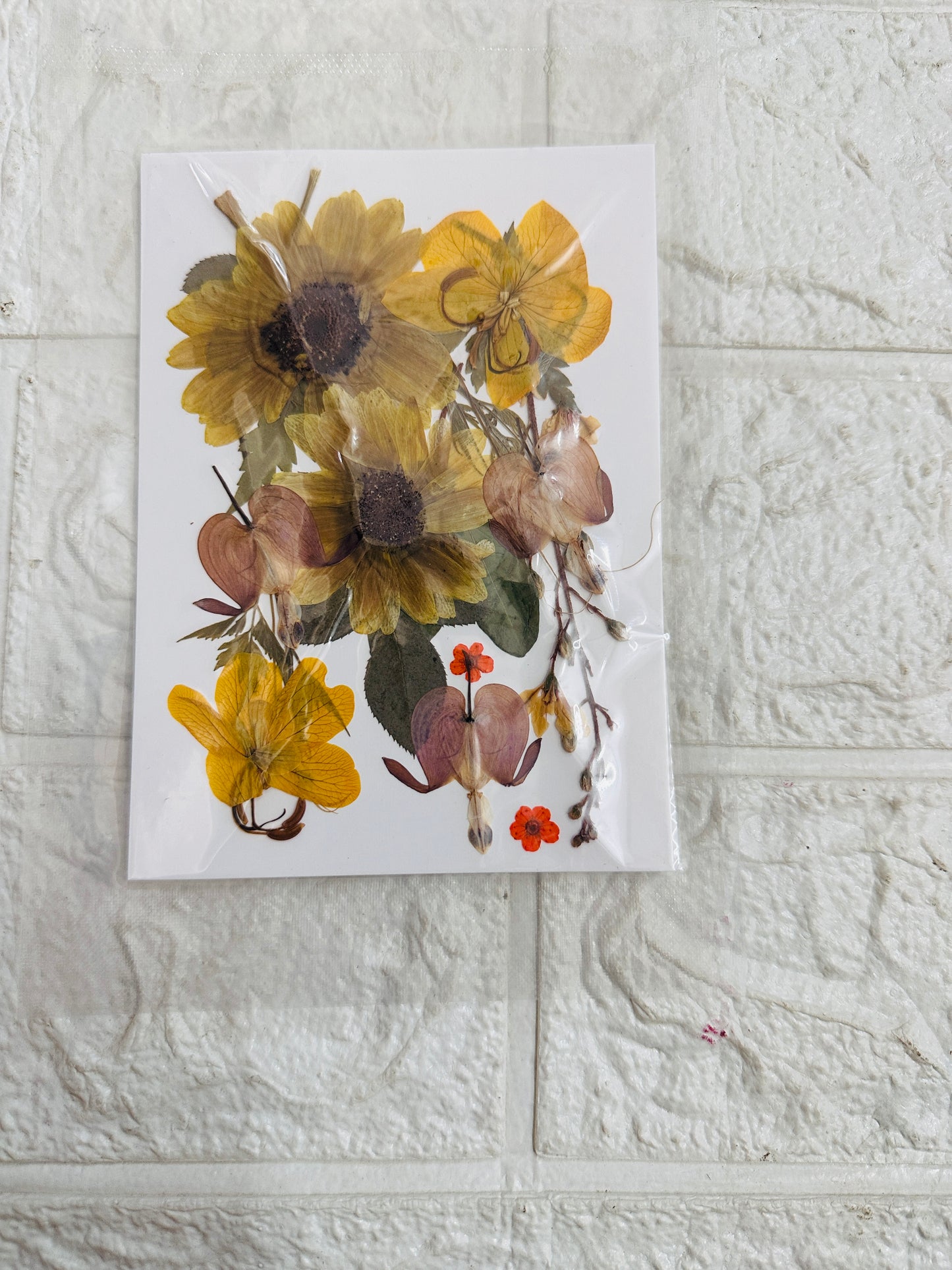 Sunflower Pressed Flower