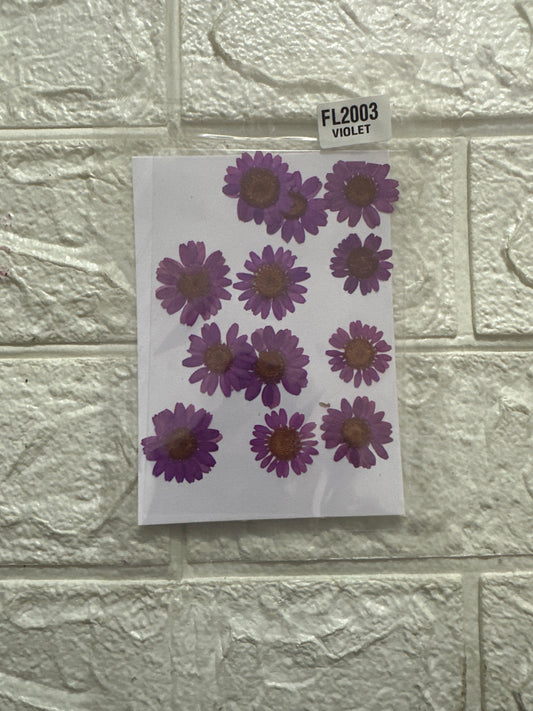 12 in 1 purple pressed flower