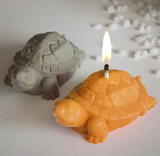 Turtle Mould